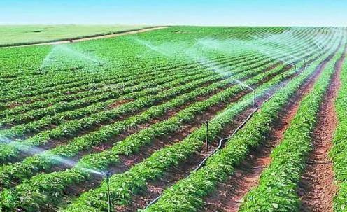 免费的日逼视频。农田高 效节水灌溉